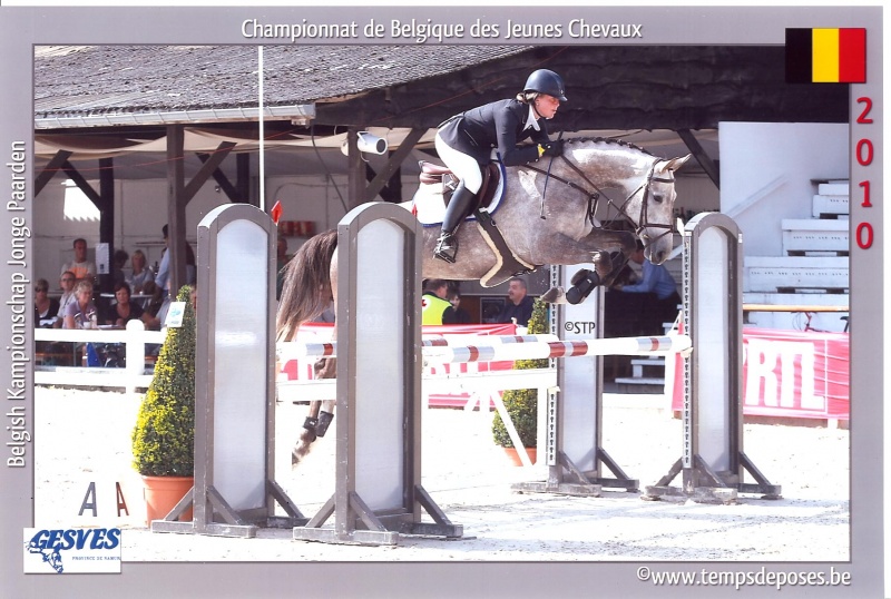 CYCLUS JONGE PAARDEN GESVES
